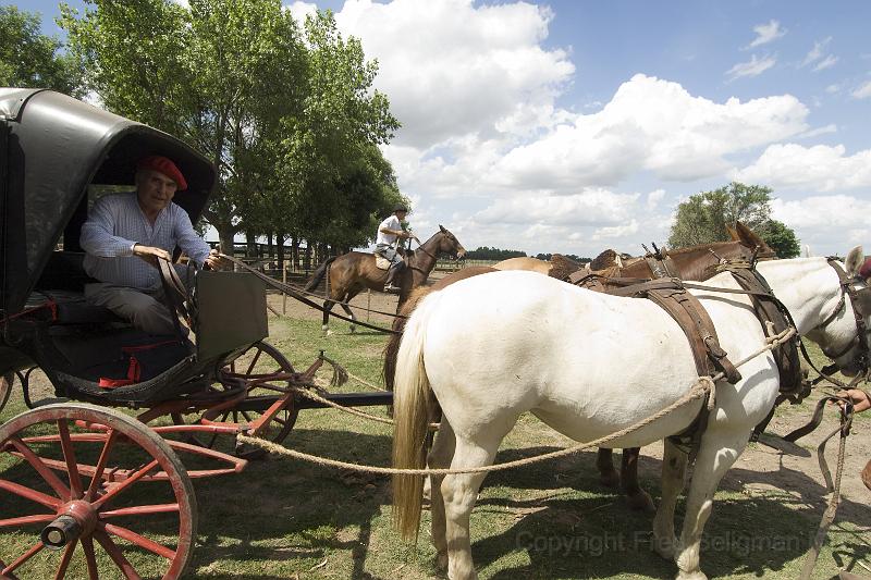 20071202_150524  D2X 4000x2667.jpg - Horse drawn coach, Estancia Mateo